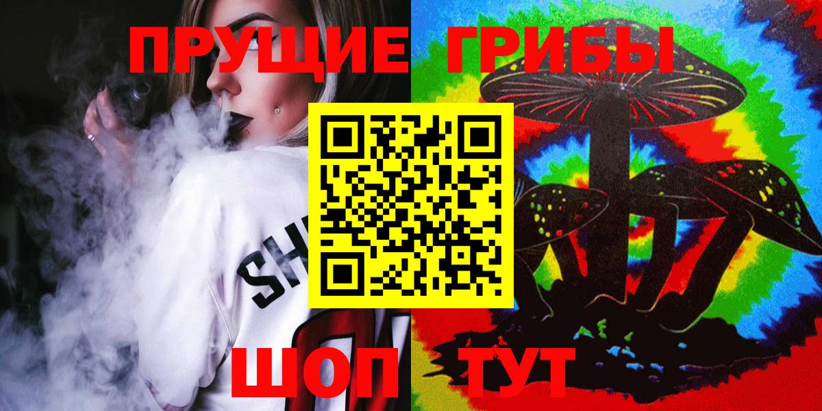 Псилоцибиновые грибы Psilocybe  Вход с VPN  Псилоцибиновые грибы MAGIC MUSHROOMS  Горно-Алтайск 