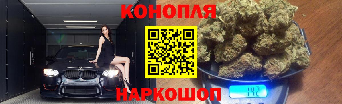 Бошки марихуана семена  Вход с VPN  Горно-Алтайск  МАРИХУАНА марихуана 
